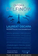 Zatoka delfinów