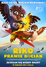 Riko prawie bocian