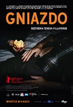 Gniazdo