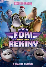 Foki kontra rekiny