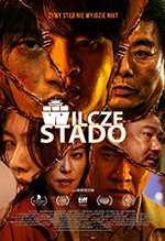 Wilcze stado