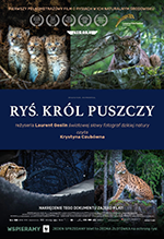 Ryś. Król puszczy