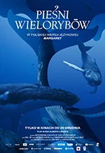 Pieśni wielorybów