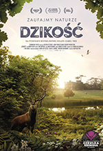 Dzikość