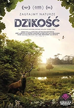 Dzikość