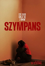 Szympans