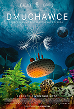 Dmuchawce