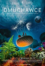 Dmuchawce