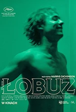 Łobuz