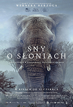 Sny o słoniach