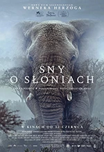 Sny o słoniach