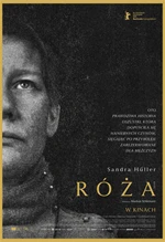 Róża